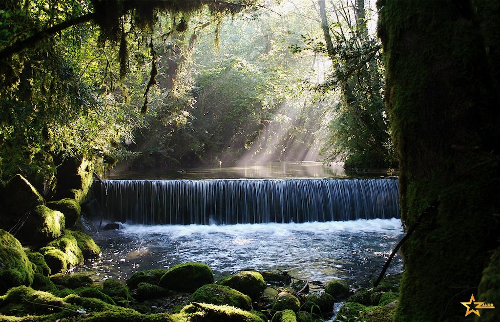 Rivière et lumière dans une forêt du Jura